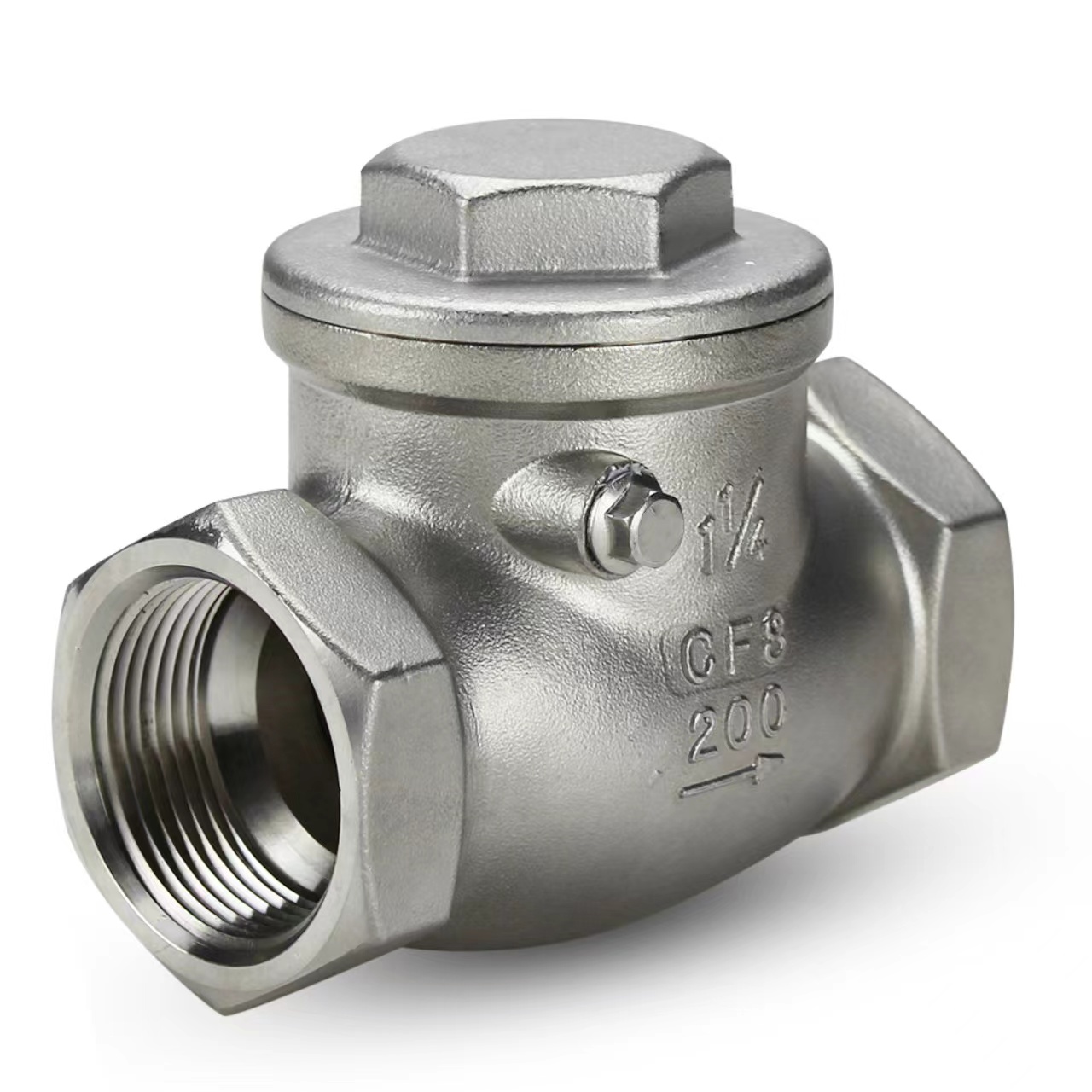 Small Bore Check Valve